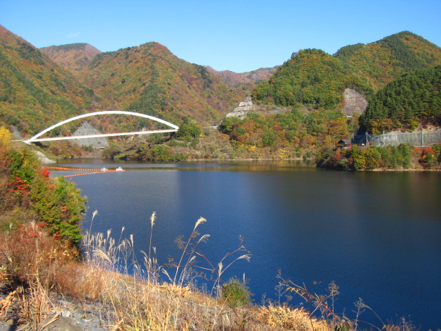 b0093515_732565.jpg