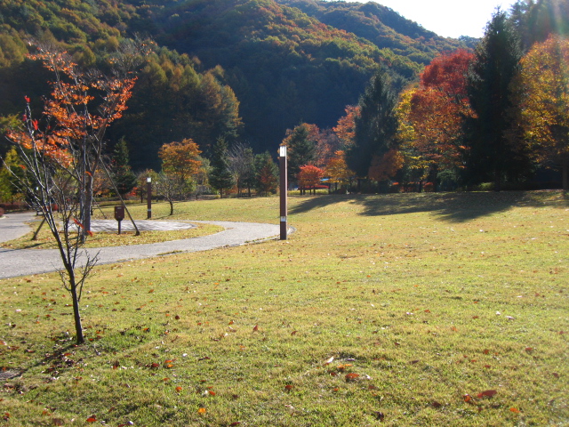 b0093515_7371947.jpg