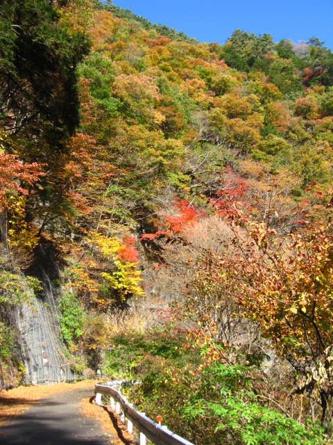 b0093515_7431449.jpg