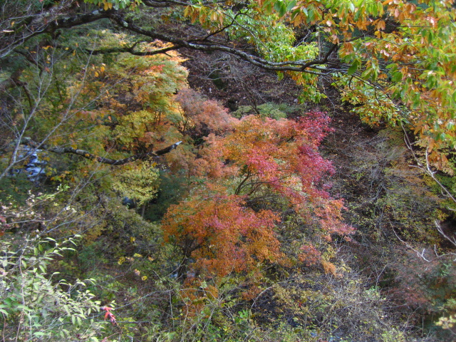 b0093515_7445687.jpg