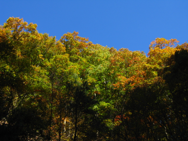 b0093515_7454416.jpg