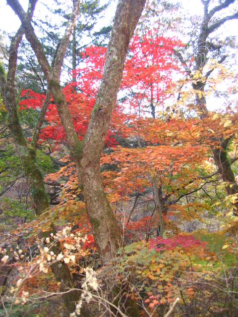 b0093515_7455627.jpg