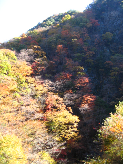 b0093515_7483399.jpg
