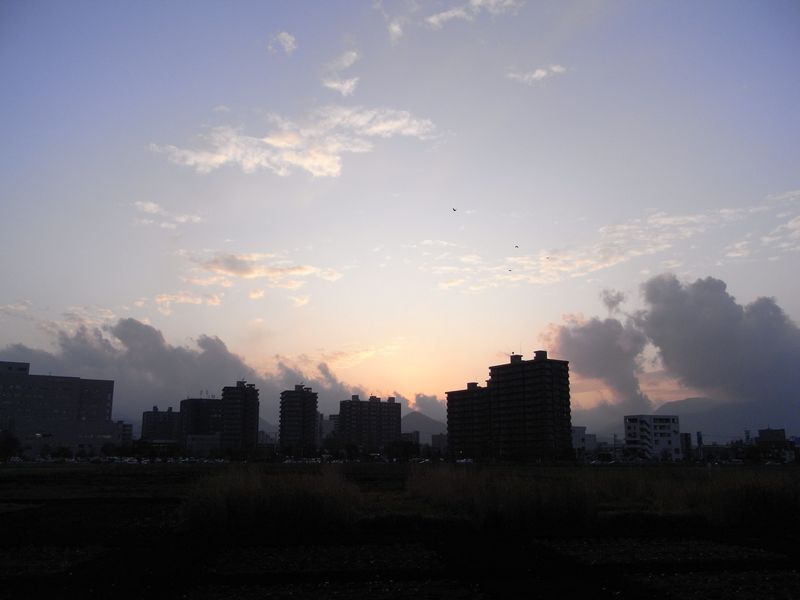 燃える秋_c0025115_2074281.jpg