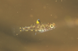 b0155916_1941456.jpg