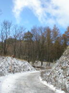 f0177521_224112.jpg
