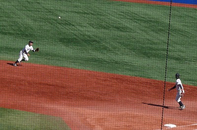 11月3日 東京六大学新人戦 明治大対立教大_b0166128_94650100.jpg