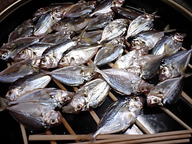 a0132631_2152859.jpg