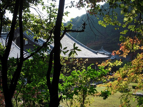 山口_c0077531_23434993.jpg