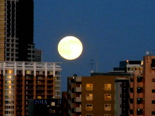 b0019140_14332416.jpg