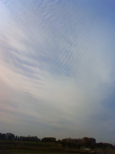 特等席からの眺め_d0113340_11361466.jpg