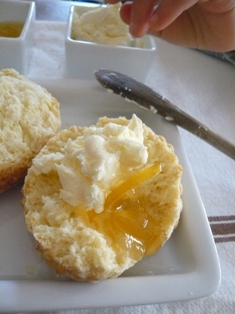 scone ~ｽｺｰﾝ_a0123141_13493954.jpg