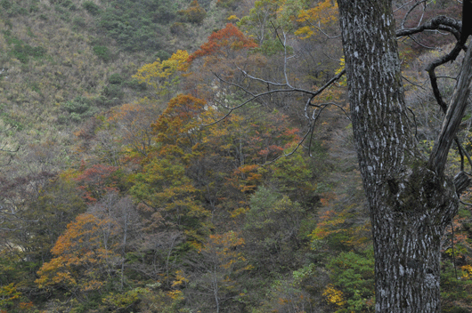 c0093046_7312611.gif