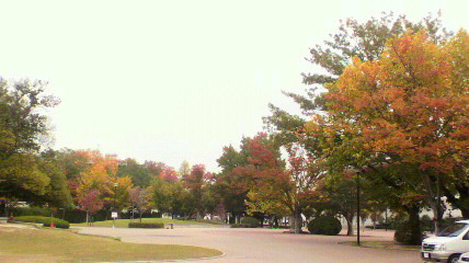 お散歩_d0004447_19525230.jpg