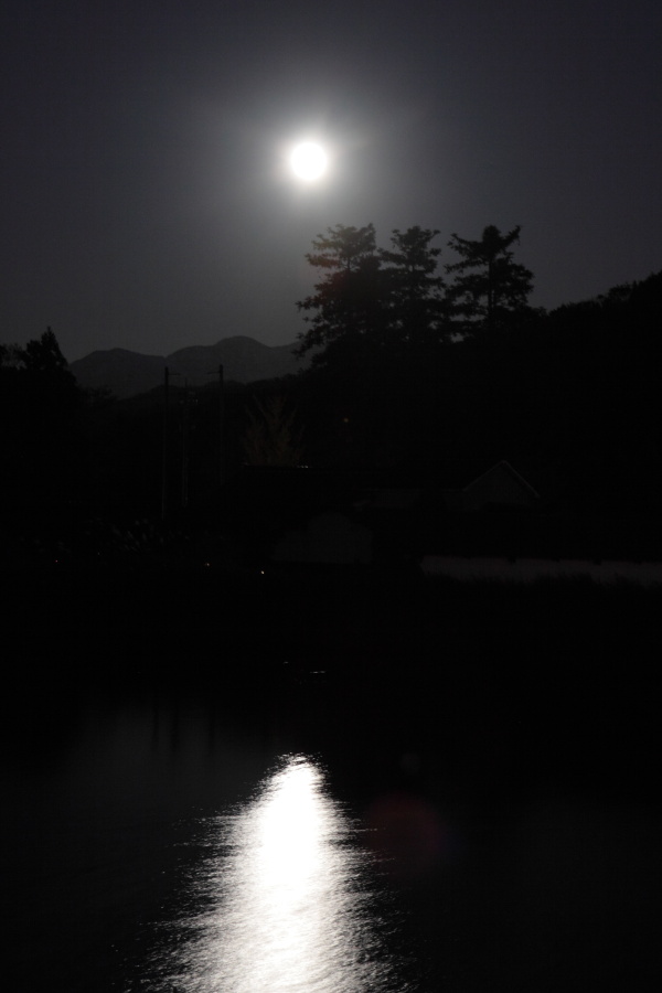 月と山と神社と池、もしかしたら銀杏も・・・_b0157849_10132774.jpg