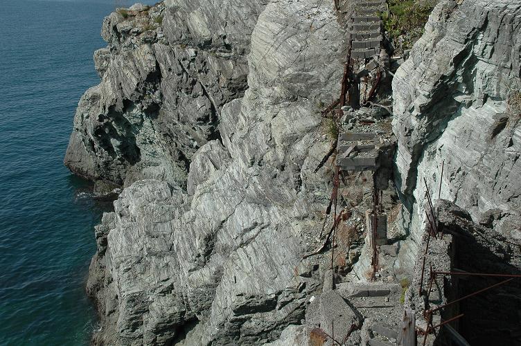 和歌山雑賀崎灯台したの崖 蝶と自然の物語