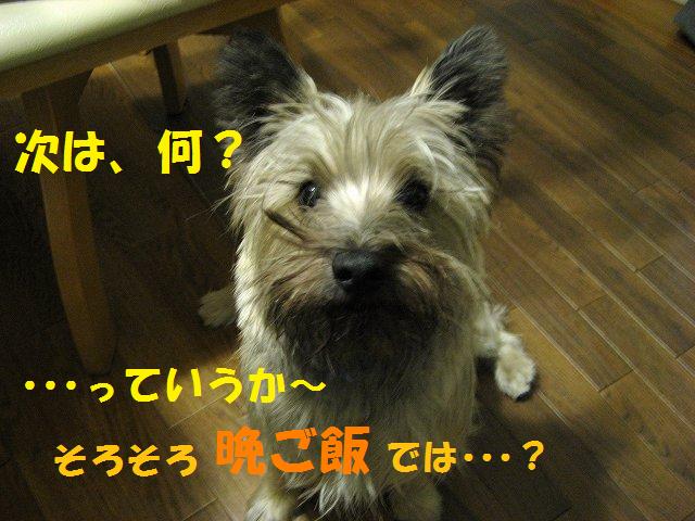 c0202659_02180.jpg