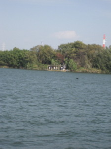 a0076262_029157.jpg