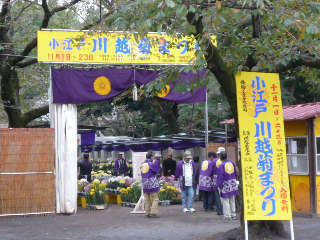 小江戸川越菊まつり_a0105566_20522425.jpg