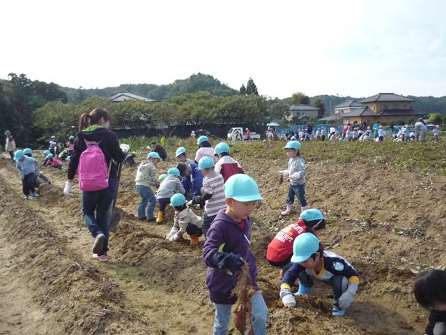 c0202171_1828711.jpg