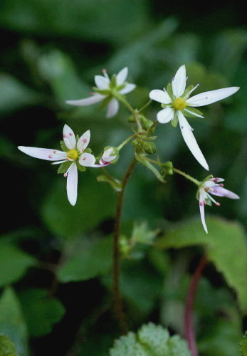 f0181173_16255748.jpg