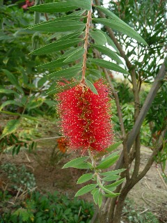 e0046477_10124487.jpg