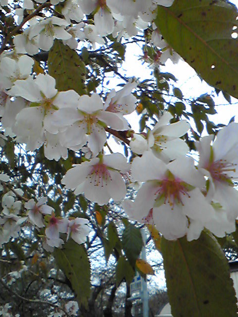 c0224082_16818.jpg