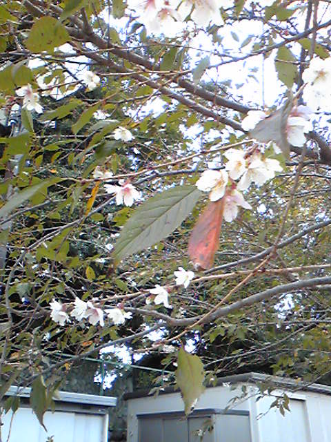 c0224082_1682612.jpg
