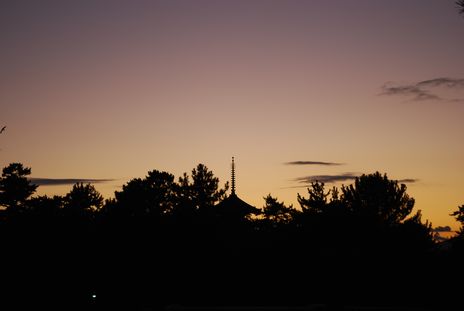 e0150783_8313046.jpg