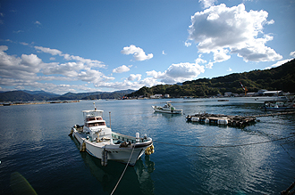 遊子水荷浦の段畑(ゆすみずがうらのだんばた)_e0066586_7123247.jpg