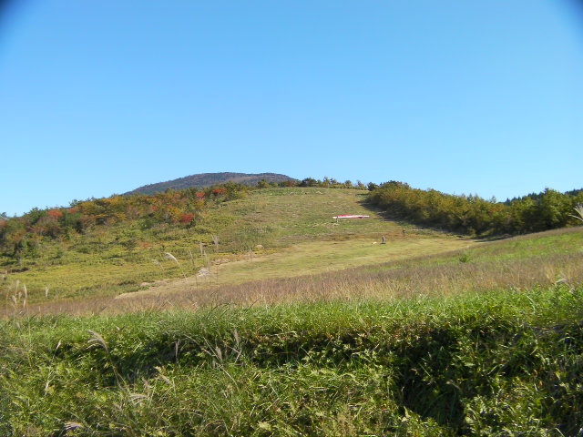 f0061887_239897.jpg
