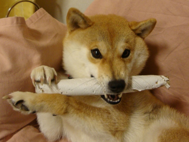 ぐさりと突き刺さった一言_a0126590_23362425.jpg