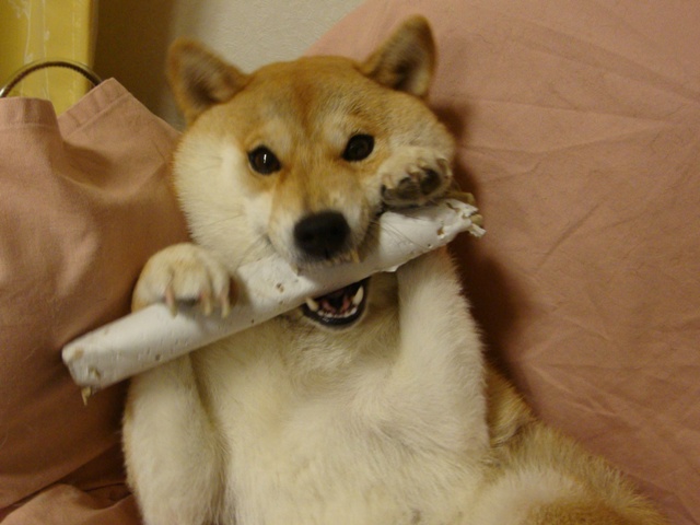ぐさりと突き刺さった一言_a0126590_23363180.jpg