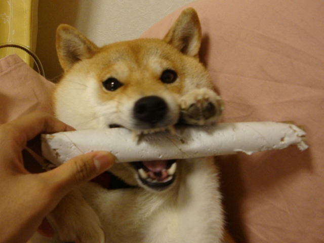 ぐさりと突き刺さった一言_a0126590_23363753.jpg