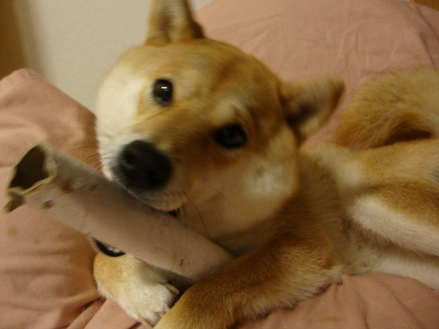 ぐさりと突き刺さった一言_a0126590_23364647.jpg