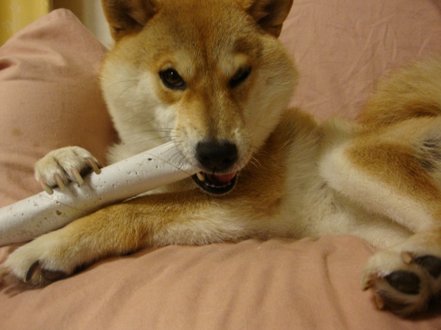 ぐさりと突き刺さった一言_a0126590_23371875.jpg