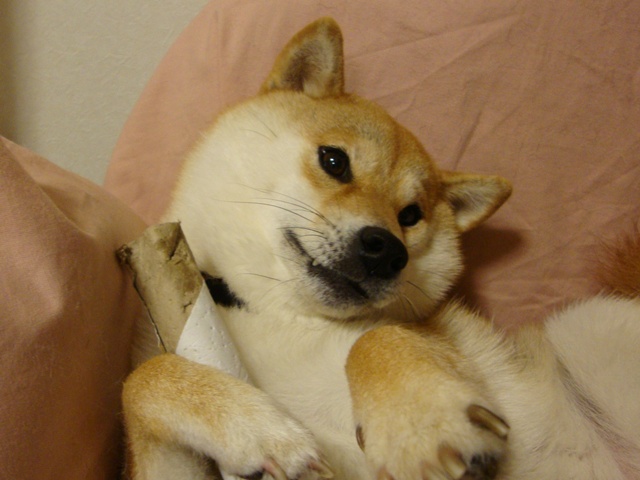 ぐさりと突き刺さった一言_a0126590_2337299.jpg