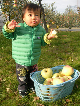 リンゴが大好き！_c0066693_925509.jpg