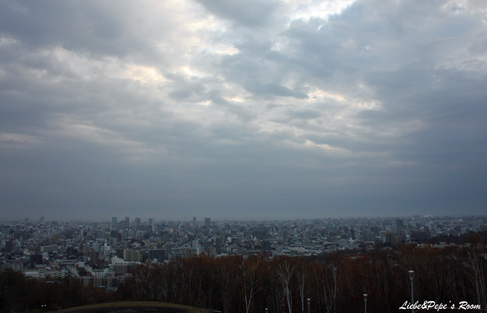 旭山記念公園＆ワクチン♩_f0001895_1938159.jpg