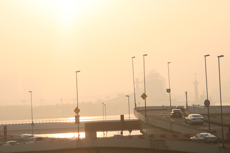 c0011696_332032.jpg