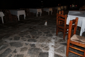 エーゲ海クルーズ 夜のミコノス島_e0154202_1557954.jpg