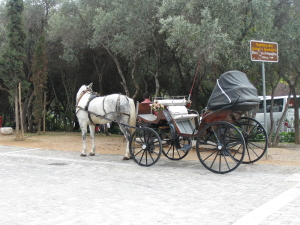 e0154202_17111494.jpg