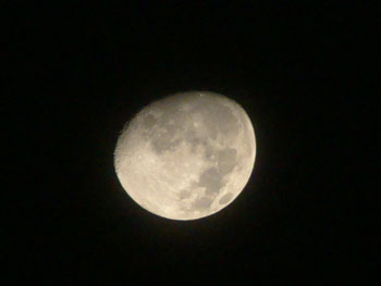 f0185403_19141327.jpg