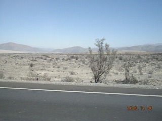 春!?_b0152504_12281085.jpg