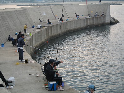 漁港 新宮 朝マヅメのアジングで26cm頭に本命30尾 メバル入れ食いも【新宮漁港】