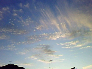 c0227010_3192341.jpg