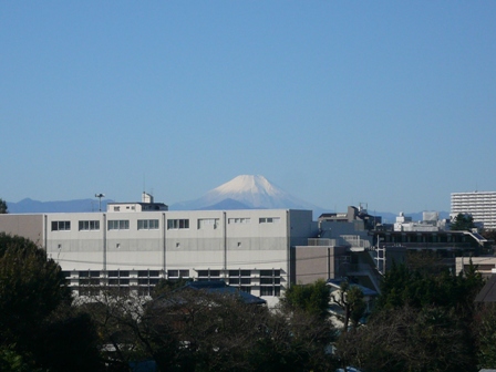 a0103914_2218547.jpg