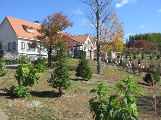 b0093515_7252410.jpg