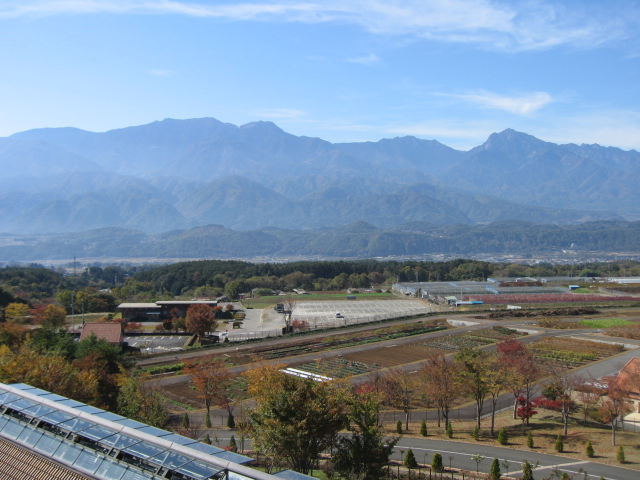 b0093515_7343575.jpg