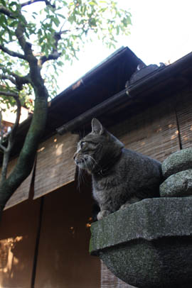 e0156015_1710761.jpg